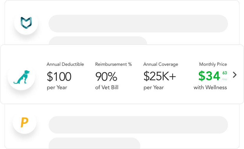 Pawlicy Advisor - Compare and Buy Pet Insurance Today