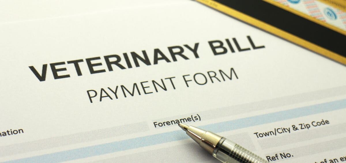 veterinary payment form for direct pay