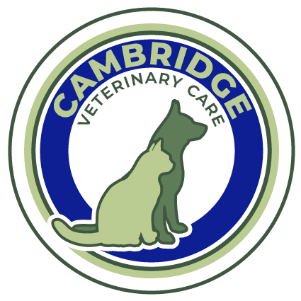 Cambridge Veterinary Care Logo