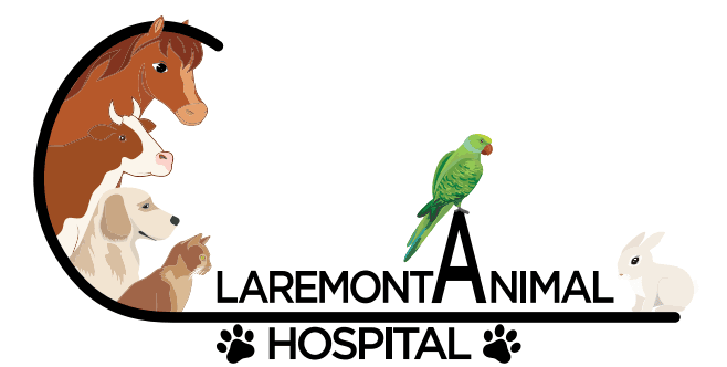 Claremont Animal Hospital Inc Logo