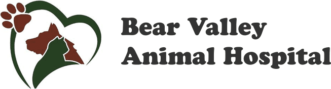 Bear Valley Animal Hospital Logo