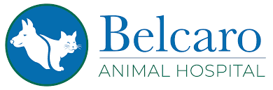 Belcaro Animal Hospital Logo