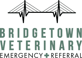 Bridgetown Veterinary Emergency & Referral Logo