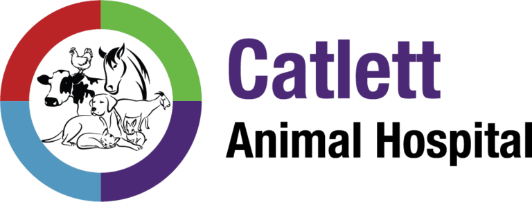 Catlett Animal Hospital Inc Logo