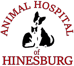 Animal Hospital Of Hinesburg Logo