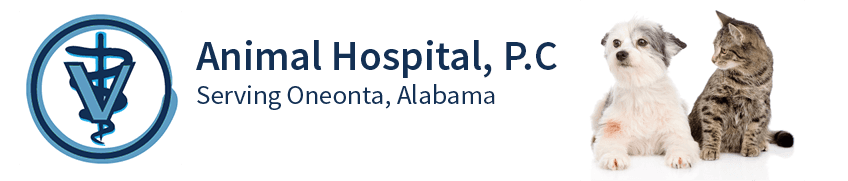 Animal Hospital PC Logo