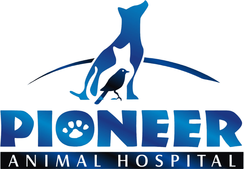 Pioneer Animal Hospital Logo