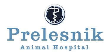 Prelesnik Animal Hospital Logo