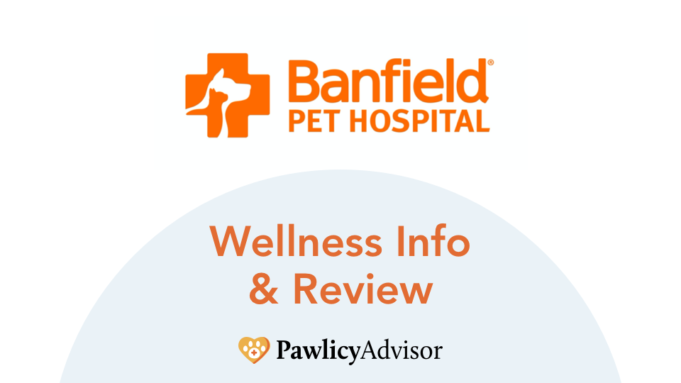 Banfield Wellness Plan Info & Review Everything You Need to Know