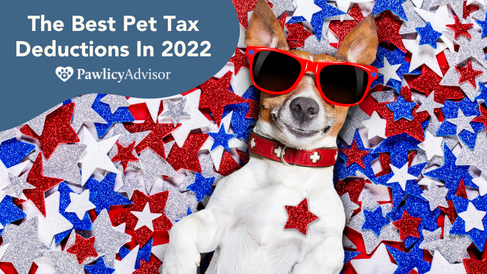 Top 5 Tax Deductions for Pet Owners in 2022 Pawlicy Advisor