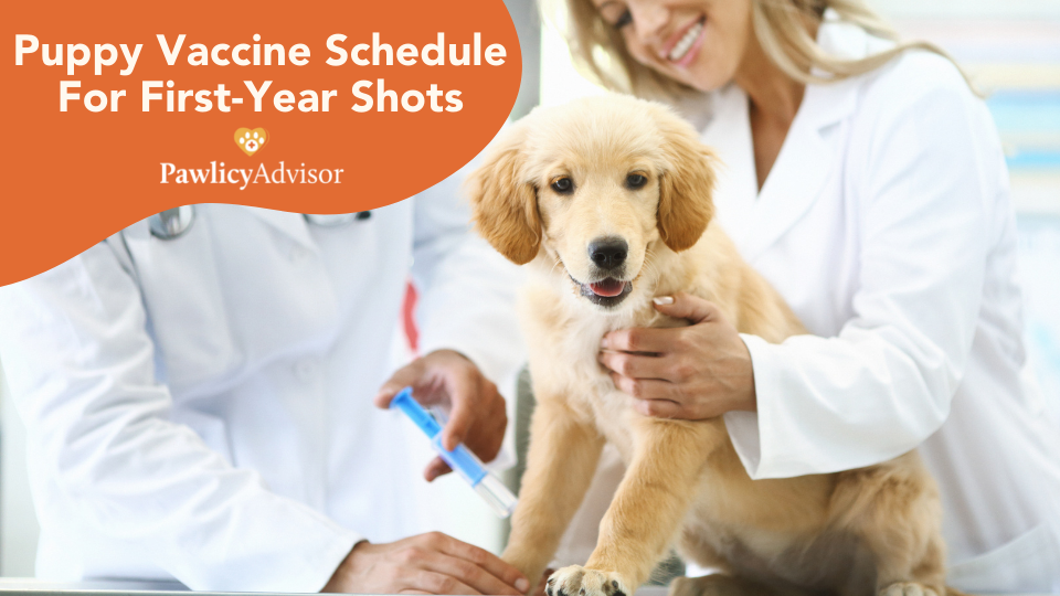 Puppy Vaccine Schedule For First-Year Shots [PDF Chart] | Pawlicy Advisor