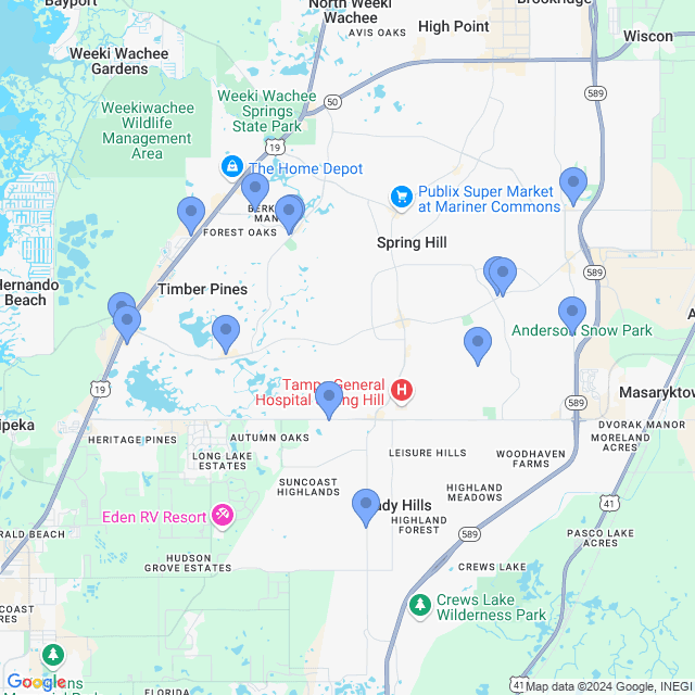 Map of veterinarians in Spring Hill, FL