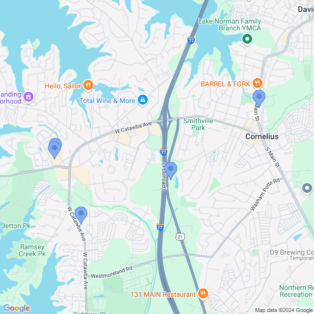 Map of veterinarians in Cornelius, NC