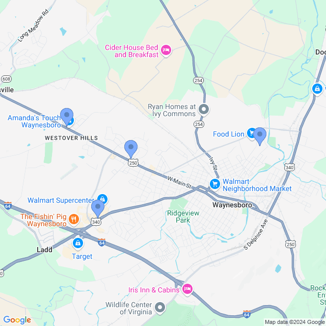 Map of veterinarians in Waynesboro, VA