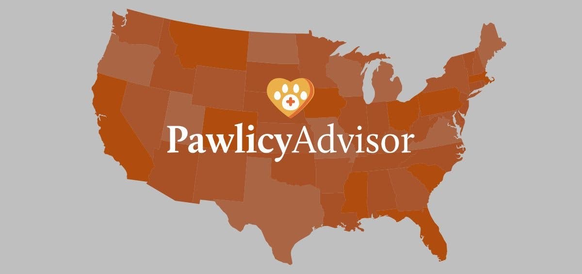 Pawlicy Advisor logo on US map