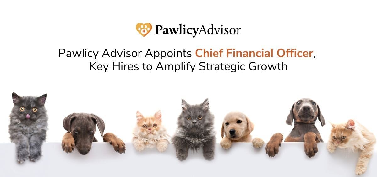 Pawlicy Advisor hires CFO