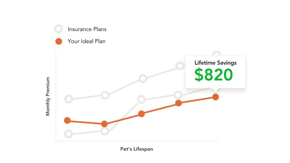 why pawlicy advisor is the best pet insurance comparison tool