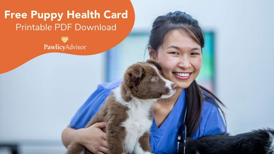puppy health card