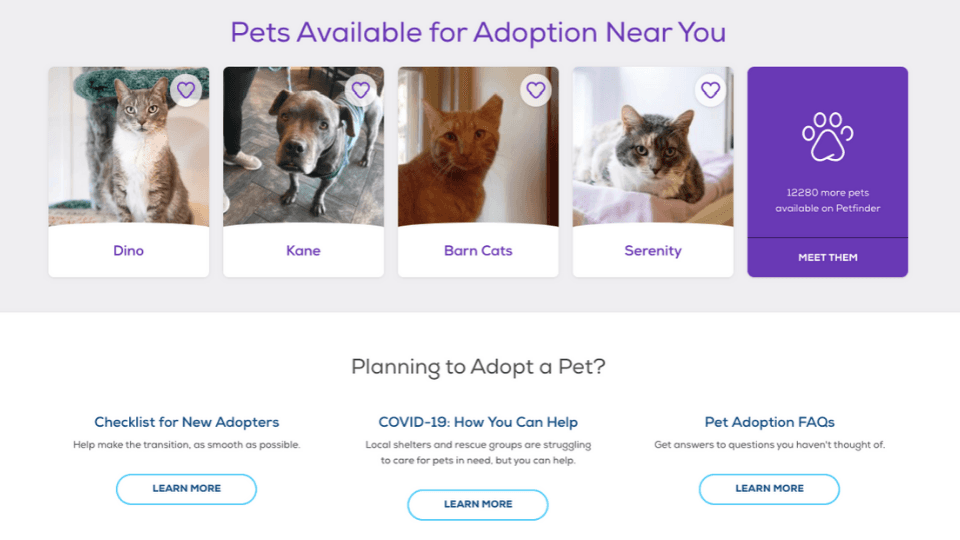 petfinder pets near you