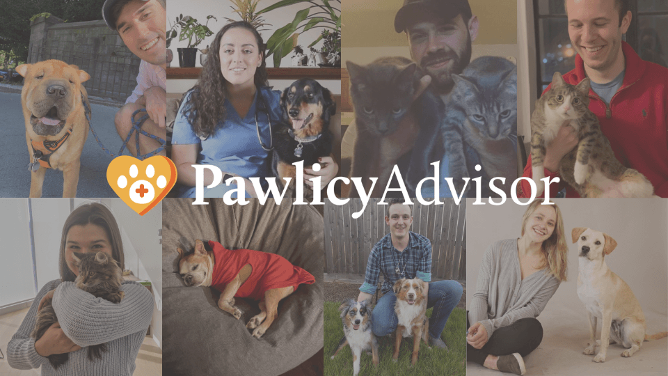 Pawlicy Advisor Team with Logo