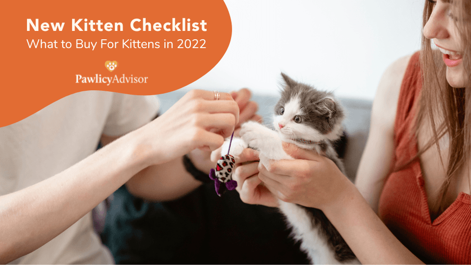 new kitten checklist
