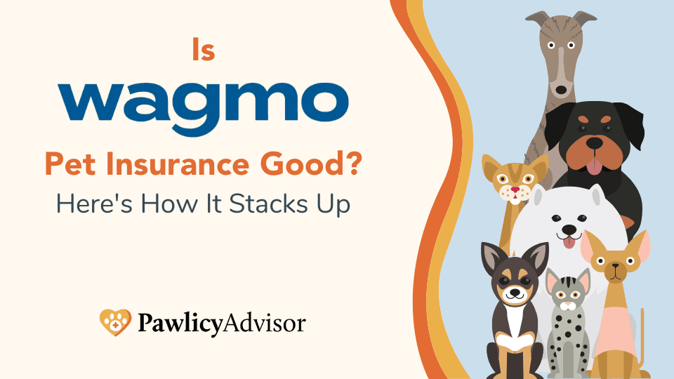 wagmo wellness info and review