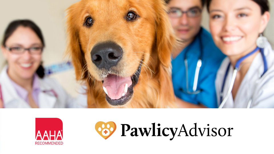 Pawlicy Advisor is recommended by AAHA