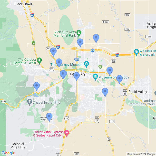Map of veterinarians in Rapid City, SD